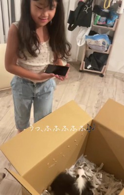 突然の出会いにびっくり