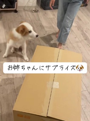 とっておきのサプライズ