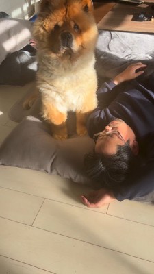 男性に叱られて、女性の顔を見つめる犬