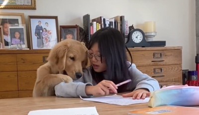 女の子の肩に顔を乗せる犬
