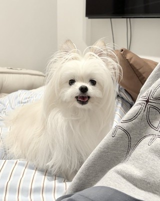 笑顔