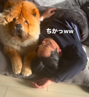 眠っている男性の隣に寄り添う犬