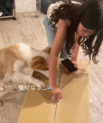 めるちゃんも興味津々