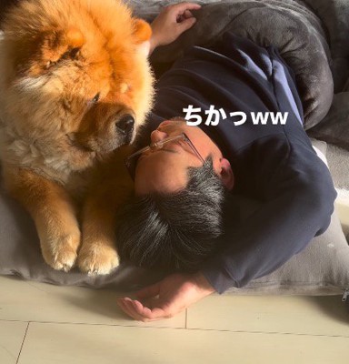 男性の寝顔を見つめる犬