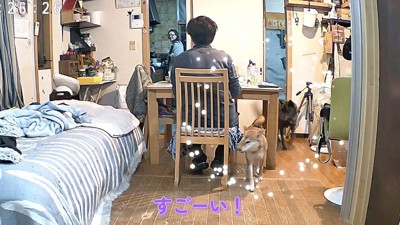 ハルヱちゃんが呼んできてくれたそう