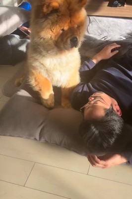 男性に叱られる犬