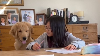 犬の反応に笑顔を見せる女の子
