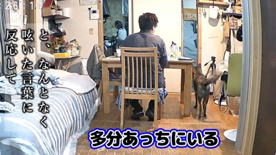 数ヶ月前、パパさんが「マメは？」と聞くと…