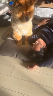 再び眠る男性を見つめる犬