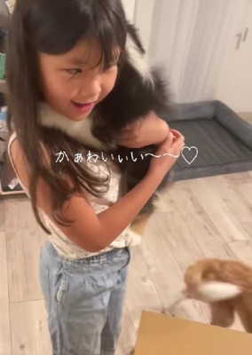 子犬との初めての触れ合い