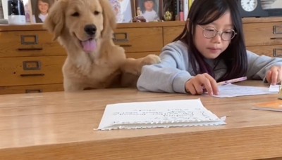 女の子の腕に前足を乗せる犬