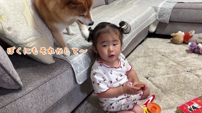 ほのちゃんと遊びたい…