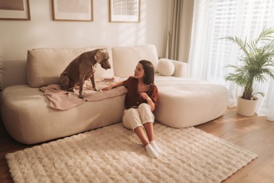 部屋の中で見つめ合う女性と犬