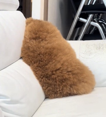 ソファに顔をうずめる犬
