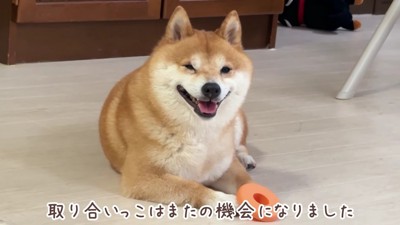 切ない結末にクスッ
