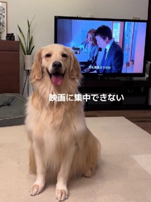 視界をジャック
