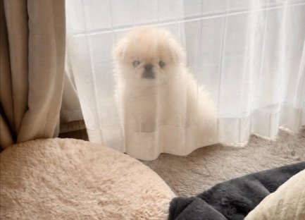 隠れてる