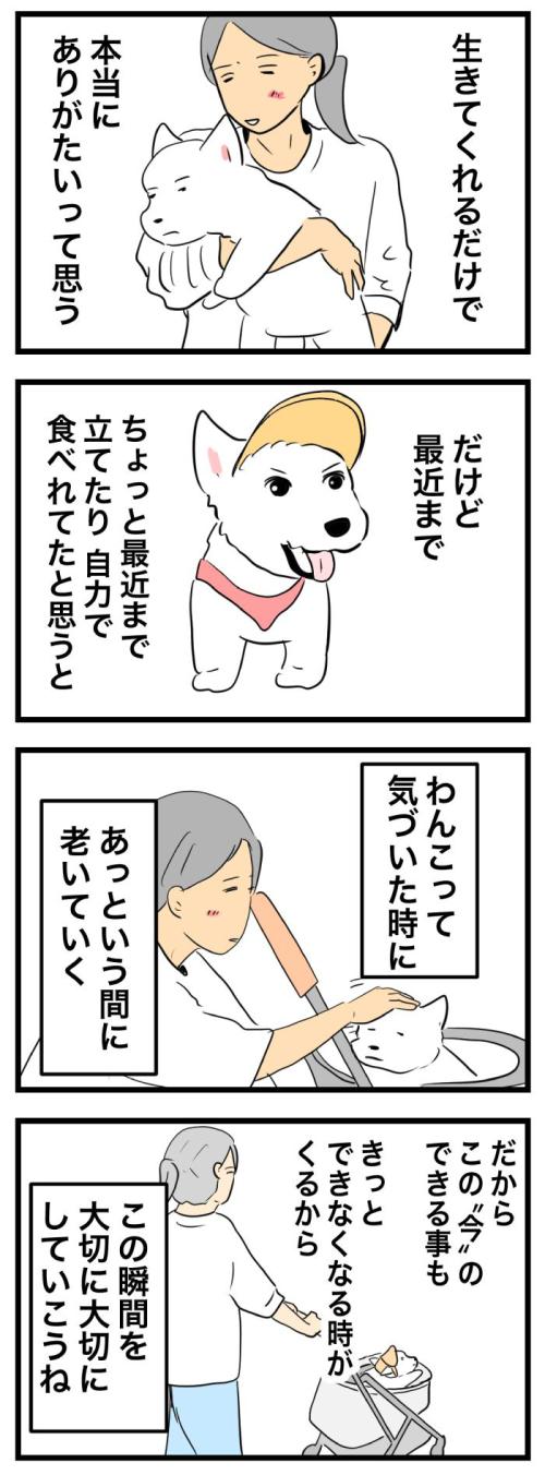 ちーちゃんですけどもっ【第364<br /> 話】　2