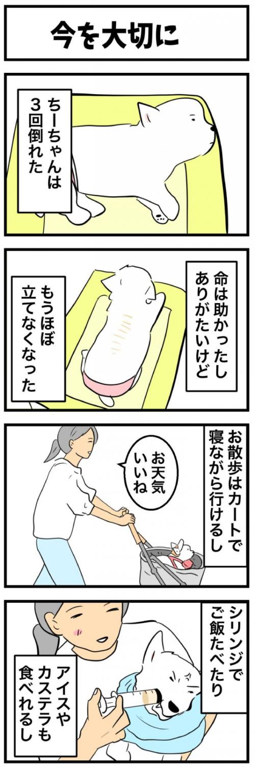 ちーちゃんですけどもっ【第364<br /> 話】　1