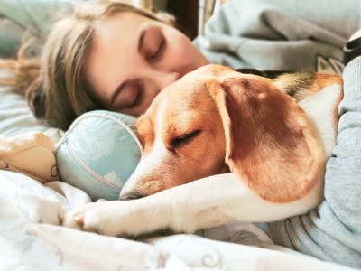 女性の隣で眠る犬