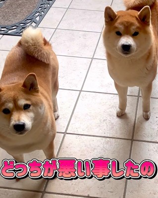 いたずら事件が勃発！