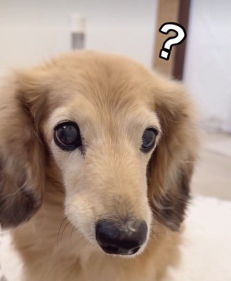 「？」