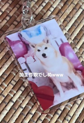 オーディションに参加