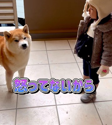 「もう怒ってないよ」
