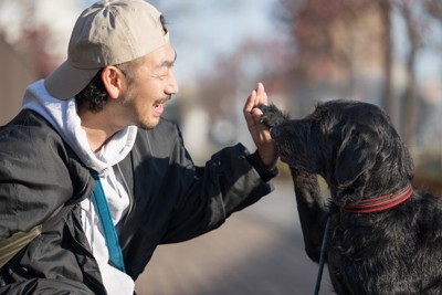 男性とハイタッチする犬
