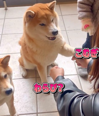 やっぱり自主した！！