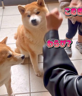 もう一度確認するも…