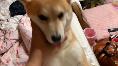 「帰ってきてたの！？おかえり～」