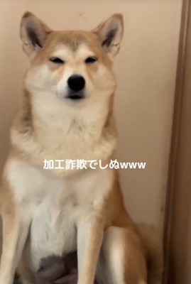 本当に同じ子？
