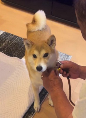 嫌そうな顔にクスッ