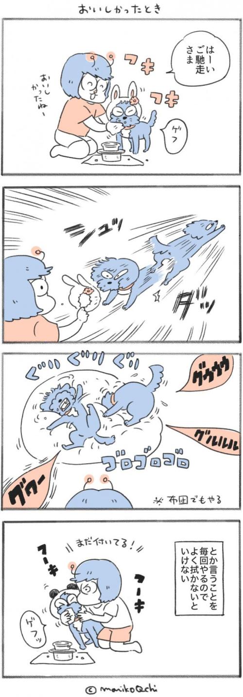 犬と暮らせば【第545話】