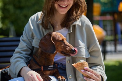 犬にアイスを舐めさせる飼い主