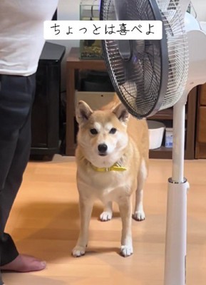久々の再会も喜ばない