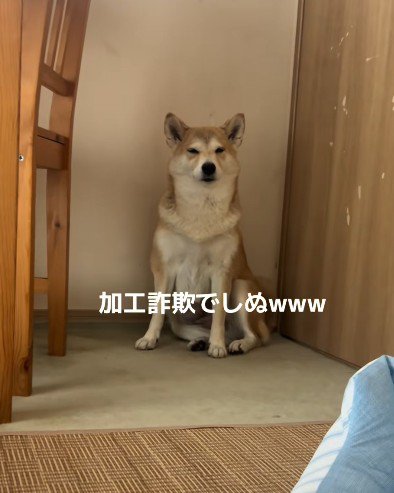 ギャップが発覚
