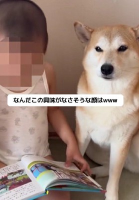 読み聞かせを渋い顔で聞く