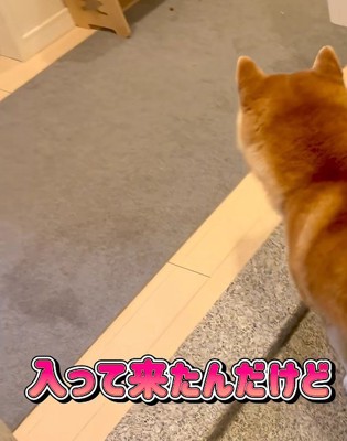 そわそわ落ち着かない