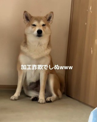 加工詐欺かな？