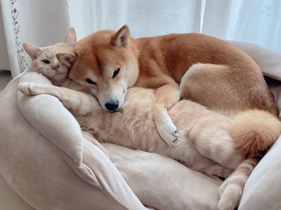 なんだかんだ仲良し♡