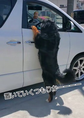 「置いて行かないで！！」