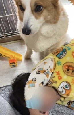 暴れる男の子