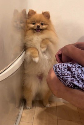 怒られているときも…