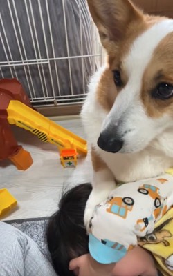 男の子と犬