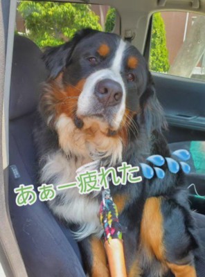 「あー疲れた」