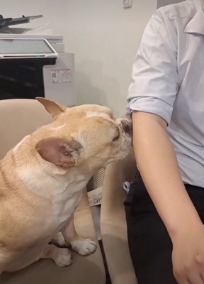 交渉は続きます…！