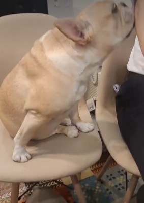 粘り強く交渉中
