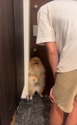 パパがでかけると勘違い